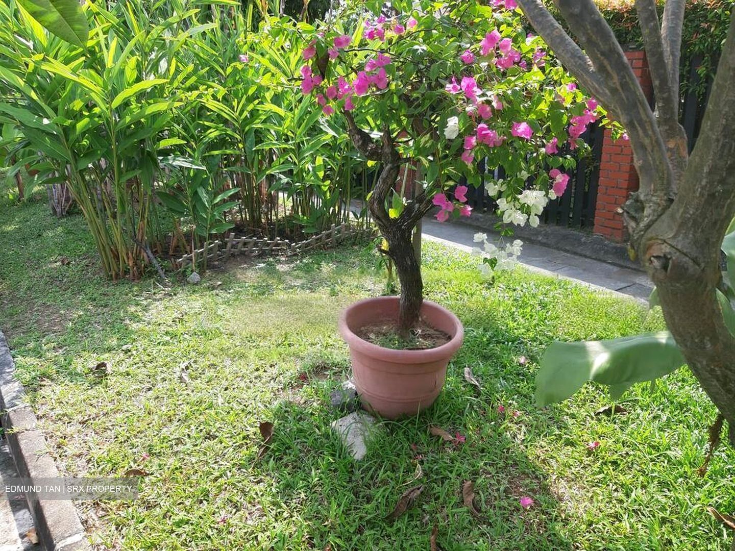 Sunrise Avenue (D28), Terrace #461752541